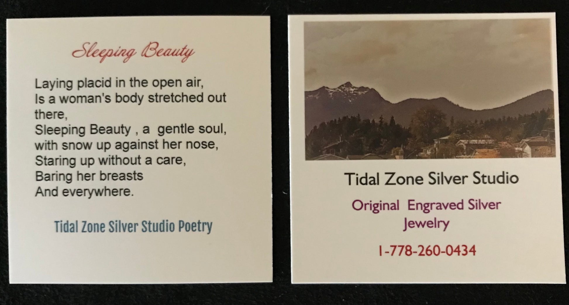 Sleeping Beauty Poetry on Tidal Zone Silver Business card